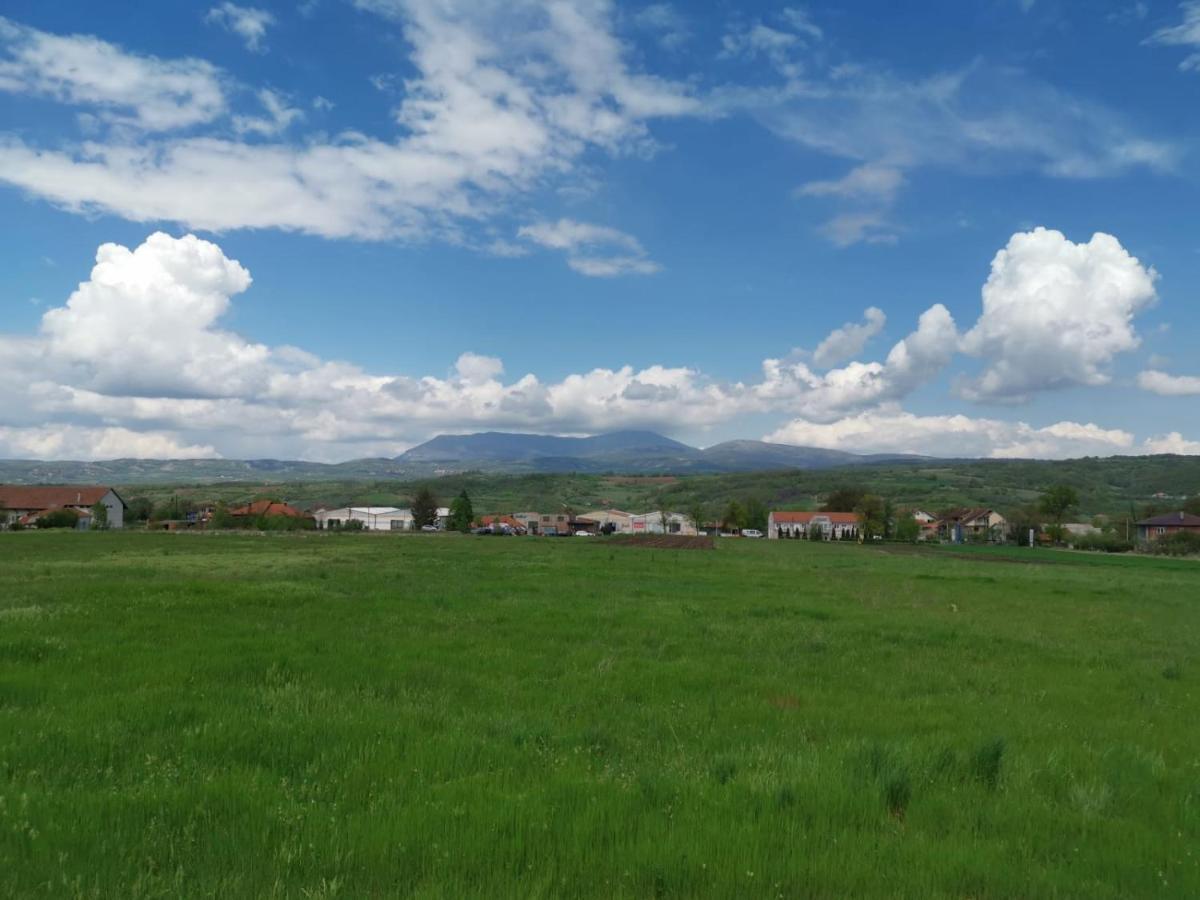 House Milovanovic Soko Banja Luaran gambar