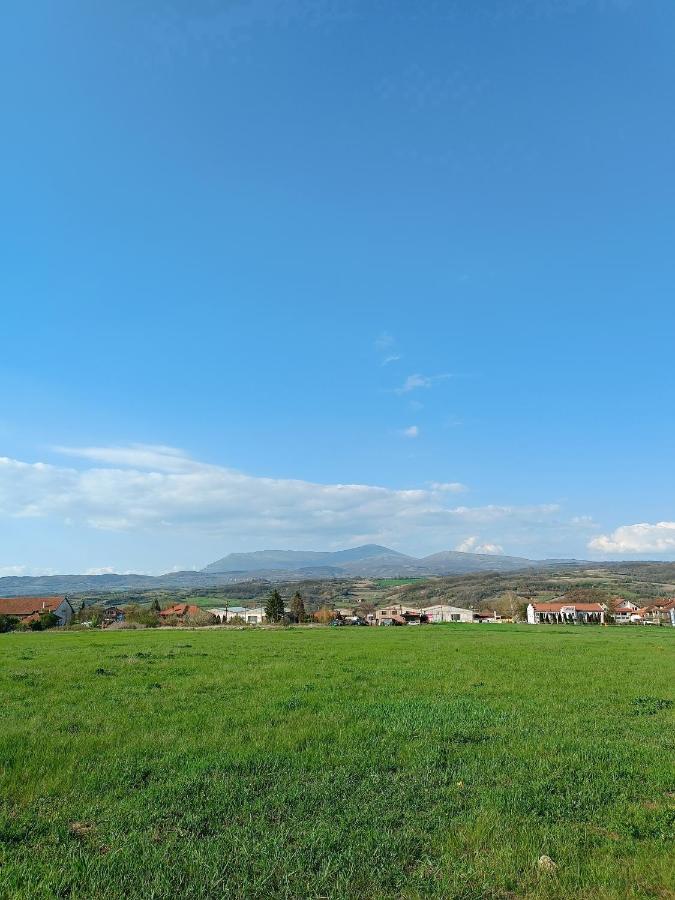 House Milovanovic Soko Banja Luaran gambar