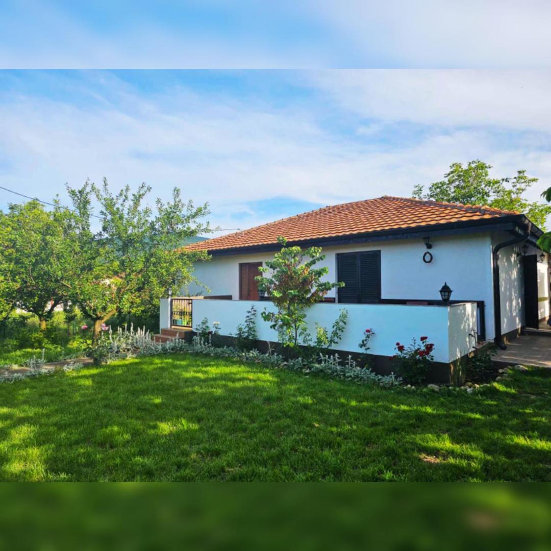 House Milovanovic Soko Banja Luaran gambar