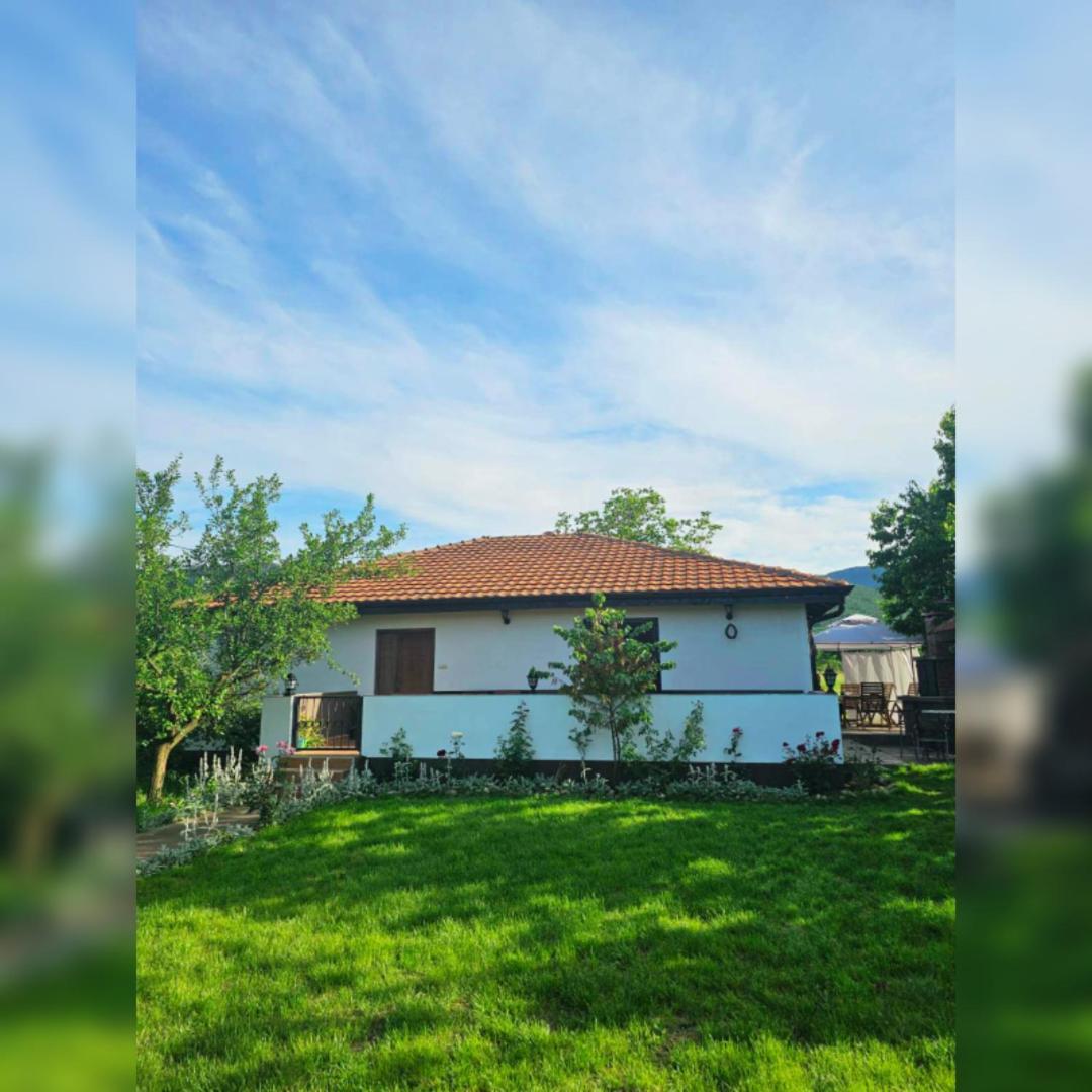 House Milovanovic Soko Banja Luaran gambar